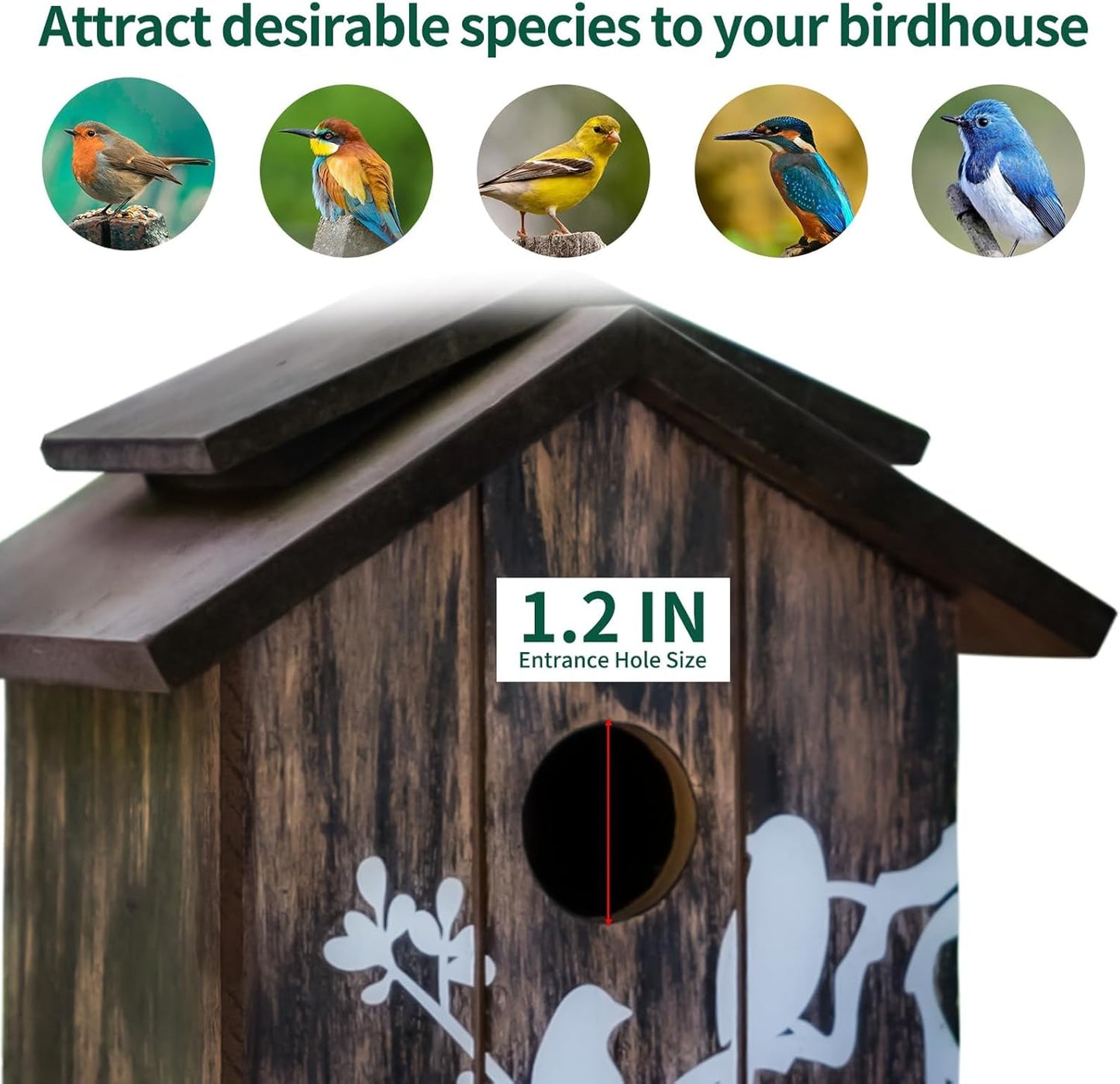 Wooden Bird House Hanging Outdoor,Eco Friendly Materials and Decorative with Bird Printed