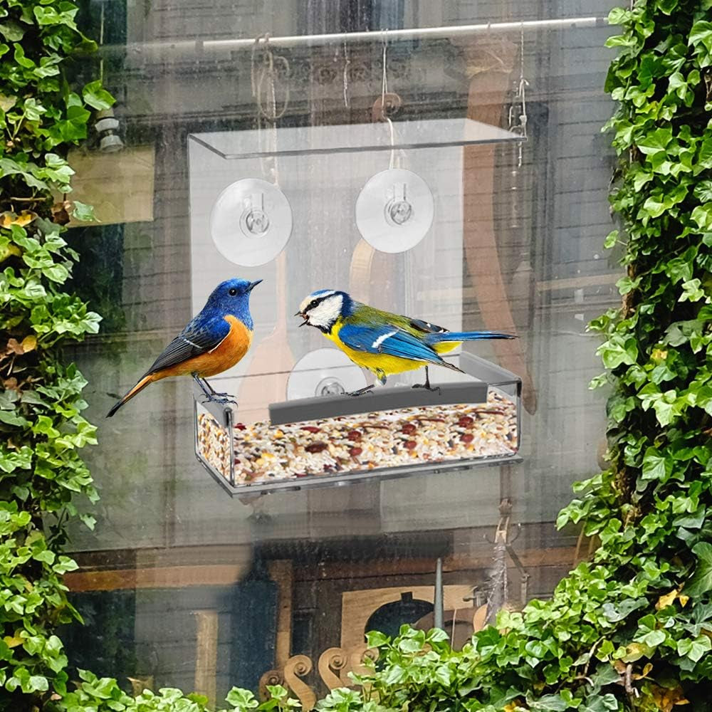 Outdoor Strong Suction Cups Bird Feeder Window Acrylic Hanging Bird House for outside Wild Birds Cardinal, Blue Jay, Finche, Chickadee (Flat Roof)