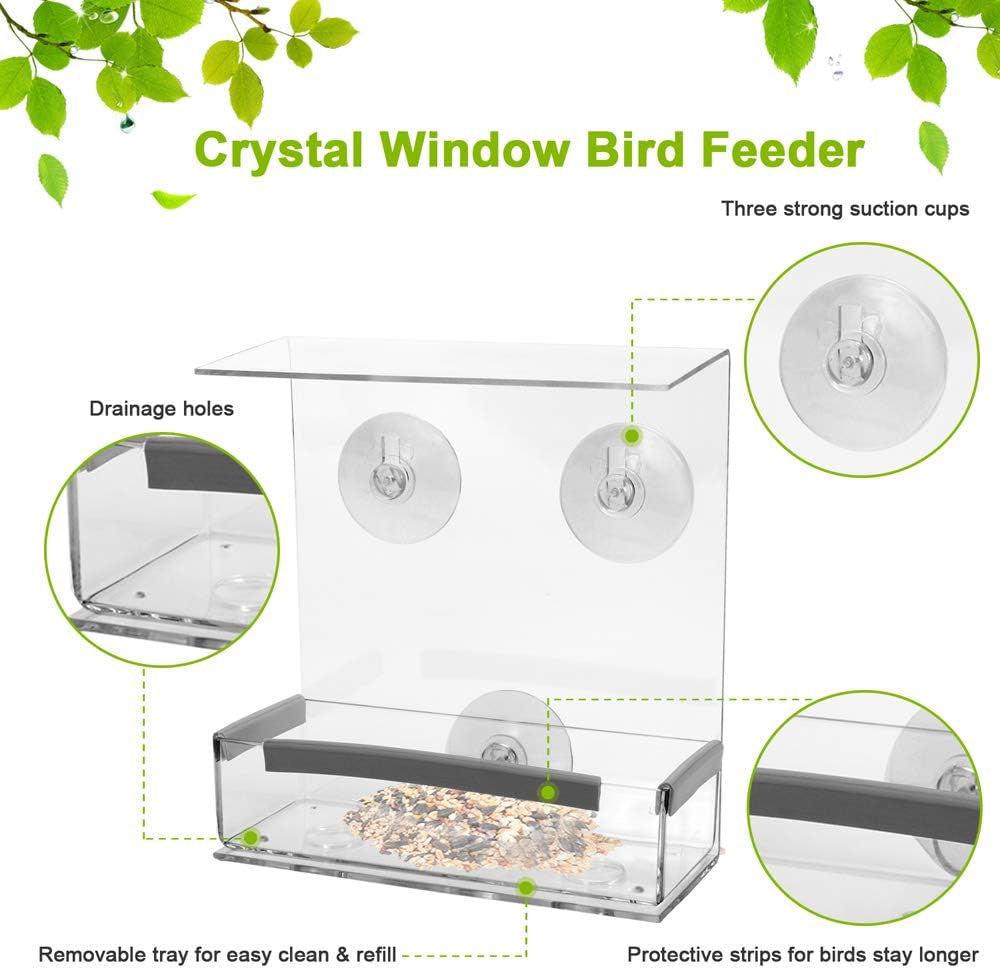 Outdoor Strong Suction Cups Bird Feeder Window Acrylic Hanging Bird House for outside Wild Birds Cardinal, Blue Jay, Finche, Chickadee (Flat Roof)